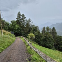 Martino Salvaro - Bersntol ring (Italy)