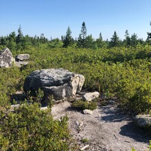 Ian Loughead - Bluff Wilderness Hiking Trail (NS, Canada)