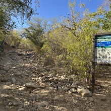 Andrew Cox - Todos Santos to Cabo Pulmo, Baja Sur Traverse