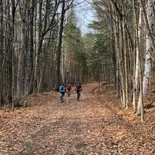 Marc Fortier - Great Trail in Gatineau Park (QC, Canada)