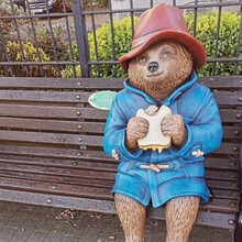 David Lockyer - Great Wessex Way