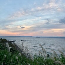 Peter Consalvi - Miura Peninsula