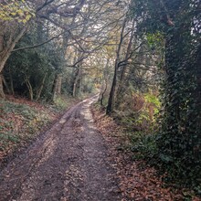 Andrew Paylor, Katie Stuthridge, Claire Thomas, Thomas Banks, Dan Cotton, Jules Louise - Sandstone Trail (UK)
