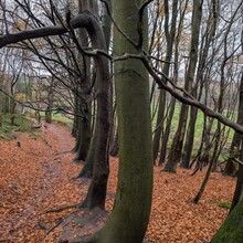 Andrew Paylor, Katie Stuthridge, Claire Thomas, Thomas Banks, Dan Cotton, Jules Louise - Sandstone Trail (UK)