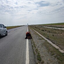 Catherine Y. Sun, Eric Y. Xin - Around Qinghai Lake (China)