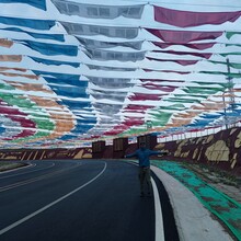 Catherine Y. Sun, Eric Y. Xin - Around Qinghai Lake (China)