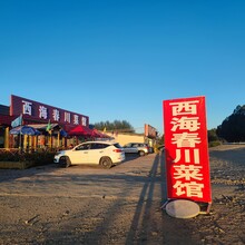 Catherine Y. Sun, Eric Y. Xin - Around Qinghai Lake (China)