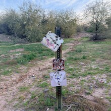 Joshua Locke - Maricopa Loop (AZ)