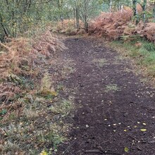 Adrian Noble - Peatlands Way (UK)