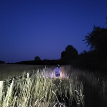 Rose Blackie, Lauren Gregory - Shakespeare Avon Way (UK)
