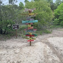 Stephanie Leake - Cross Timbers (TX)