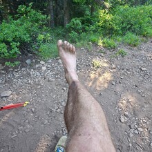Christof Teuscher - PCT: Bridge of the Gods - Timberline Lodge (OR)
