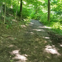Trisha Ignatowski - NJ Palisades Long Path / Shore Trail (NJ)