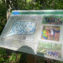 Scott Livingston - Field Forest Trail (CT)