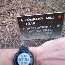 Tim Sill - Umstead State Park, Every Single Trail (NC)