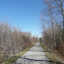 John Shep - Uxbridge Rail Trail + Beaver River Wetland Trail (ON, Canada)