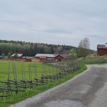 Conny Svahn - Sörmlandsleden: Björkhagen - Huddinge (Sweden)