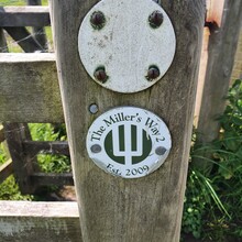 Alf Batchelor - Millers Way 2 (UK)