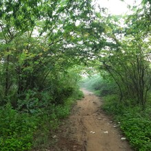 Nakul Butta - South Delhi Trail Corridor (India)