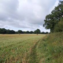 Leah Atherton - North Worcestershire Path (United Kingdom)