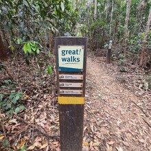 Sammy Brown - Conondale Range Great Walk (QLD, Australia)