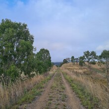 Sammy Brown - Kilkivan - Kingaroy Rai Trail (QLD, Australia)