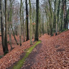 Julianna Posey - Hasenpatt (Germany)