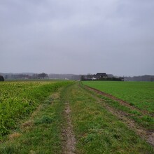 Julianna Posey - Hasenpatt (Germany)