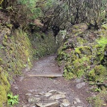 Gerhard Knapp - Camino Natural Cumbres De La Gomera (GR131) (Canary Islands)