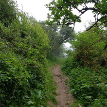Anthony Boon - Stenbury Trail (United Kingdom)