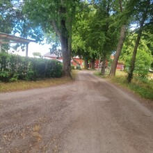 Conny Svahn - Ekerö-Munsö (Sweden)