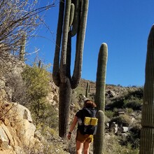 Milissa Gillen - Black Canyon Trail (AZ)
