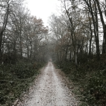 Darren Comeau - Forest Way (United Kingdom)