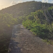  - Christoffel Mountain Loop (Curaçao)