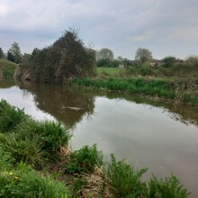 Robin Hurst - Kennet and Avon Canal (United Kingdom)