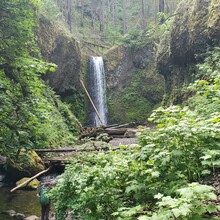 Rick Kneedler - Oneonta Gorge Falls Loop (OR)