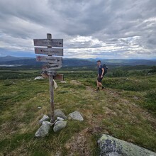 Jin Hui Zhang, Frederik Emil Juul - OMVEIEN