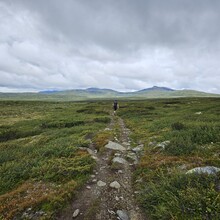 Jin Hui Zhang, Frederik Emil Juul - OMVEIEN
