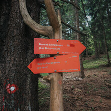 EMMANOUEL ARMOUTAKIS - Slovenian Mtn Trail (Slovenia)