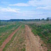 Aleksandr Orlov - Velikoretsky Pilgrimage - Великорецкий Крестный Ход (Russia)