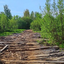 Aleksandr Orlov - Velikoretsky Pilgrimage - Великорецкий Крестный Ход (Russia)