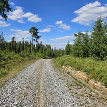 Conny Svahn - Hörkens kyrkstig och Östra Kumlan (Sweden)