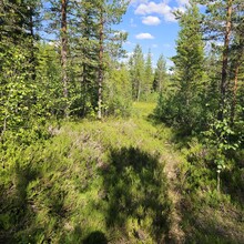 Conny Svahn - Hörkens kyrkstig och Östra Kumlan (Sweden)