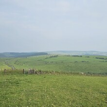 Richard Shaw - Glamorgan Ridgeway