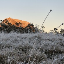 Clinton Garratt - Overland Track
