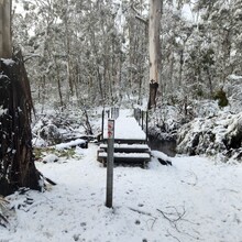 Meredith Quinlan - Hume & Hovell Walking Track