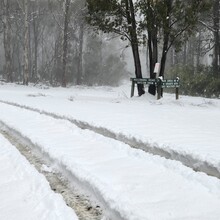 Meredith Quinlan - Hume & Hovell Walking Track