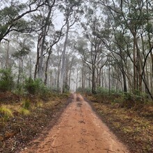 Meredith Quinlan - Hume & Hovell Walking Track