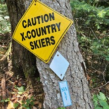 Robert Greenier - International Appalachian Trail - Maine Section (ME)