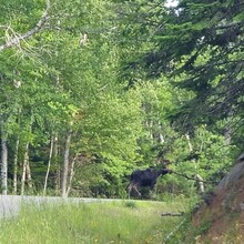 Robert Greenier - International Appalachian Trail - Maine Section (ME)